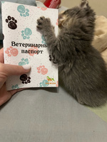 Ветеринарный паспорт международный для собак / кошек #80, Екатерина С.