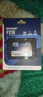 Patriot Memory 256 ГБ Внутренний SSD-диск P210 2.5" SATA3 6.0 Гбит/с (P210S256G25) #97, Даниил С.