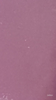Универсальный светостойкий колер-паста PALIZH PREMIUM, инжир (фиолетовый) 100мл 3 шт. #4, Юлия К.