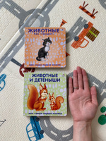 Комплект Книжки-картонки Животные и детеныши + Животные "Как говорят" #7, Юлия П.