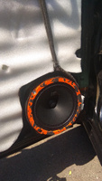 DL Audio Gryphon Pro 165 (2 динамика, 16.5 см, 80 Вт), колонки 16 см автомобильные, эстрадные динамики, акустика в машину #25, Александр О.