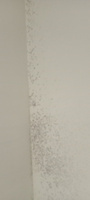 Уничтожитель плесени для минеральных поверхностей и очиститель межплиточных швов GOODHIM AP 650 (готовый раствор) 0,5 л. #27, Юлия С.