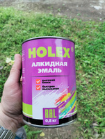 Автоэмаль алкидная RAL 9010 чистый белый 0,8кг HOLEX #71, Алексей Ф.