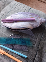 Пенал-косметичка для школы OyLoy Fish, для карандашей, для канцелярских принадлежностей, текстильный, сиреневый #3, Анна С.