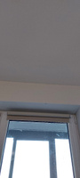 Рулонные шторы на окна Блэкаут Поло DOMLEGRAND 66*175 жемчужный. Рулонные жалюзи Blackout однотонные #50, Анна С.