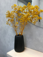 Стабилизированные цветы Гипсофила, 40 см, 100 гр #4, Кристина У.