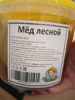Мед Лесной Натуральный 1 кг #69, Ольга К.