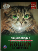 Энциклопедия для детей Кошки и котята Умка | Хомякова К. #26, Светлана Н.