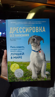 Дрессировка без наказания. 5 недель, которые сделают вашу собаку лучшей в мире | Сильвия-Стасиевич Дон, Кей Ларри #6, Анастасия Т.