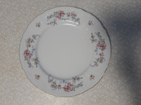 Тарелка обеденная столовая 25 см Бернадотт Дикая роза, фарфор, мелкая белая, Bernadotte Чехия #7, Анна П.