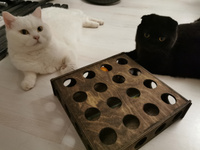 Игрушка для кошек и котят Игрушка интерактивная с шариками Игра для кошек. #6, Ekaterina P.