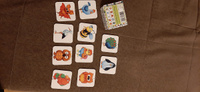 Картинки-половинки ToySib "Крылатые друзья", 20 деталей из дерева для развития логики у малышей #35, Эльвира Х.