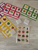 Детское развивающее лото "Растительный мир. Овощи и фрукты", игровой набор из 24 пластиковых фишек + 4 игровых поля-карточки, по методике Г. Домана #7, Регина Ш.