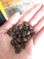 Кофе в зернах 1 кг УГАНДА 100% робуста, Uganda robusta MARKET, свежая обжарка для кофемашины, крепкий, 1кг, 1000 гр, #139, Наталья С.