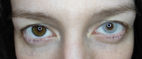 ЗЕЛЕНЫЕ + СЕРЫЕ Цветные контактные линзы для глаз MAGESTIC, 12 месяцев, 0.00 #8, Анна М.