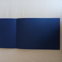 Цветной картон формата А4 тонированный в массе для творчества и оформления, набор 48 листов, 12 цветов, склейка, 180 г/м2, Brauberg #133, Елена Р.