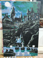 Картина по номерам Z-630 "Гарри Поттер. Хогвартс" 40x60 #33, Алёна К.