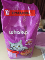 Сухой корм Whiskas Вкусные подушечки для кошек с говядиной, 5 кг. #30, Надежда Е.