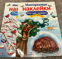 Многоразовые наклейки на плёнке Кто как зимует | Александрова Ольга Викторовна #6, Владимир Ф.