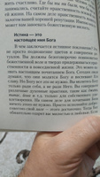 Веды: универсальные знания для жизни. Простые наставления древних #4, Рафик Х.