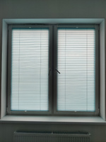 Жалюзи плиссе на окна и дверь горизонтальные, штора плиссе Decofest Плайн, цвет бирюзовый, ширина 70 см, высота 160 см #61, Александр Т.