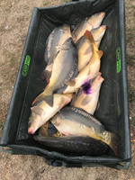 NGB Карповые бойлы для рыбалки тонущие насадочные Mexico/Мексика 15 мм (банка 300гр) #2, Денис Ш.