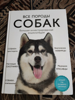 Все породы собак. Большая иллюстрированная энциклопедия | Сула Галина Юрьевна, Яворская-Милешкина Елена Валерьевна #6, Надежда В.