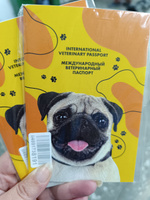 Ветеринарный паспорт для собак международный с принтом "Мопс" #40, Ольга П.