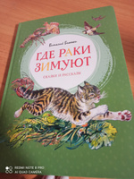 Где раки зимуют. Сказки и рассказы | Бианки Виталий Валентинович #7, Ирина Т.