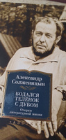 Бодался телёнок с дубом | Солженицын Александр Исаевич #4, елена