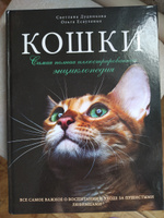 Кошки. Самая полная иллюстрированная энциклопедия | Дудникова Светлана Сергеевна, Есауленко Ольга Валерьевна #7, Наталья Ю.