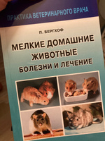 Мелкие домашние животные. Болезни и лечение | Бергхоф Питер К. #5, Анастасия