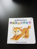 Книжка-картонка Домашние животные #8, надежда е.