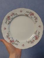 Тарелка обеденная столовая 25 см Бернадотт Дикая роза, фарфор, мелкая белая, Bernadotte Чехия #6, Анна П.