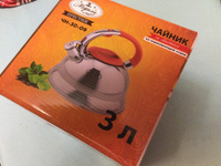 Чайник для плиты Мерали из нержавеющий стали со свистком 3 литра для всех видов плит #21, Нина П.
