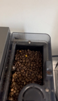Набор кофе в зернах (6 шт х 100 г) FRUMENTUM COFFEE под фильтр, универсальный, натуральный, зерновой #3, Аллаева А.