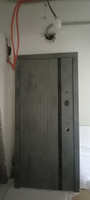 Дверь входная металлическая DIVA ДХ-46 Зеркало 2050x860 Левая Бетон темный - Д15 Белый софт, тепло-шумоизоляция, антикоррозийная защита для квартиры, УТ-00080107 #3, Полина А.