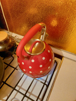 Чайник из нержавеющей стали 3 литра со свистком Мерали для всех видов плит чайник 3 литра для плиты #26, Снежана Я.
