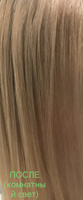 Epica Professional Краска для волос, 100 мл #211, Екатерина