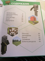 Большая книга подсказок Minecraft #6, Анастасия С.
