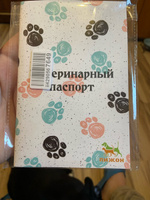 Ветеринарный паспорт международный для собак / кошек #78, Рогачева А.