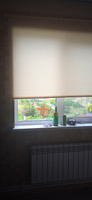 Рулонные шторы LmDecor 160х170 см, жалюзи на окна 160 ширина, рольшторы #129, Екатерина П.