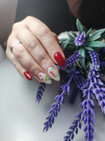 Сухоцветы для дизайна ногтей D 1-2 см. + пластиковый кейс, 36 шт. соцветий, набор 12 расцветок. #71, Светлана Ф.