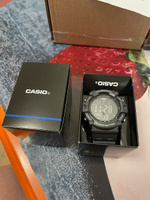 Электронные мужские наручные часы Casio Collection AE-1500WH-8B с большими цифрами #76, Ольга Б.