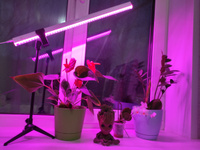 Фитолампа для растений и рассады, фитосветильник, сине-красный спектр (фиолетовое свечение), 12 Вт, 580мм #58, Юлия К.