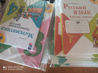 Литературное чтение 4 класс. Рабочая тетрадь. УМК "Школа России" (к новому ФП). ФГОС | Бойкина Марина Викторовна, Виноградская Людмила Андреевна #4, Елена П.