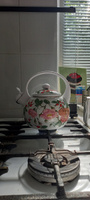 Чайник для плиты эмалированный AGNESS со свистком, 2,2 л., подходит для всех типов плит #23, Виктория Б.