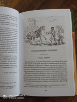 Кадетский монастырь Лесков Н.С. Школьная библиотека Внеклассное чтение Детская литература Книга для подростка 10 11 класс | Лесков Николай Семенович #7, Юлия Т.