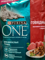 Влажный корм Purina ONE для взрослых кошек, в соусе с говядиной и морковью, 75 г х 26 шт. #92, Мария