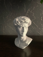 Статуэтка из гипса голова/бюст Давида белого цвета из гипса #25, Антон И.